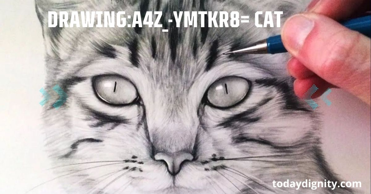 Drawing:A4z_-Ymtkr8= Cat